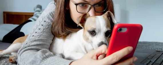 San Indoorindividuals 01 1